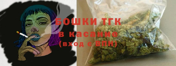 винт Карпинск