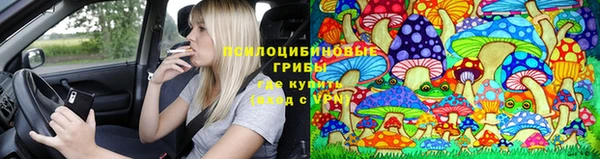 индика Касимов