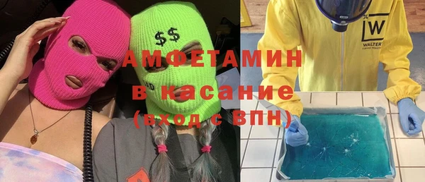 индика Касимов