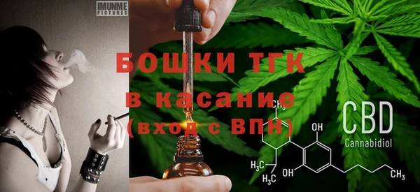 индика Касимов