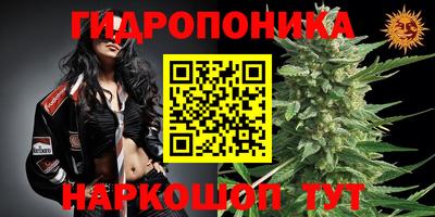 молекула духа Заводоуковск
