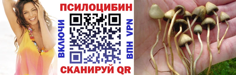 наркотики  Элиста  МЕГА как войти  Галлюциногенные грибы мухоморы 