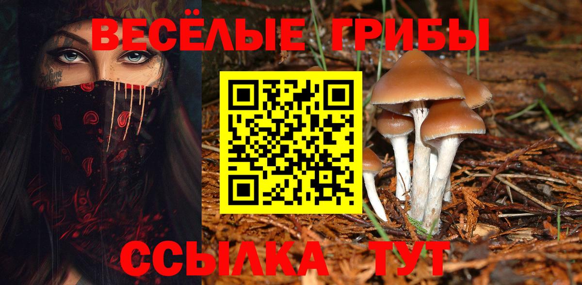 Галлюциногенные грибы Cubensis  Вход с VPN  Элиста 
